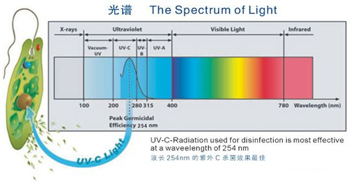 科普！紫外線殺菌燈對(duì)人體影響及正確使用方法